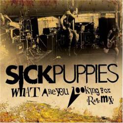 Sick Puppies : What Are You Looking For (Radio Mix)
